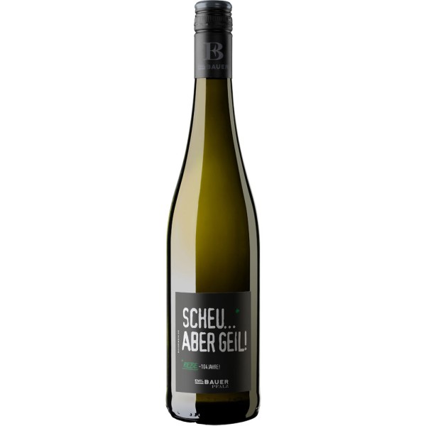 Emil Bauer Scheu aber geil trocken 2024